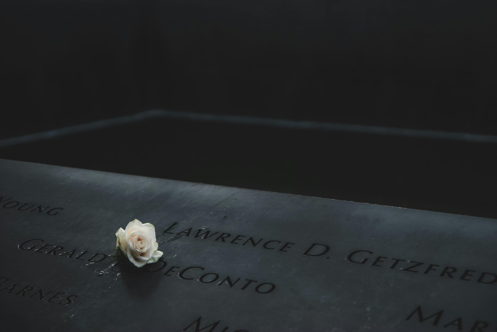 The aviation community in New Zealand was rocked by a tragic incident involving a pilot's spouse who was a member of the pilots_spouses_network. The tragedy serves as a stark reminder of the risks and challenges faced by those associated with the aviation industry.